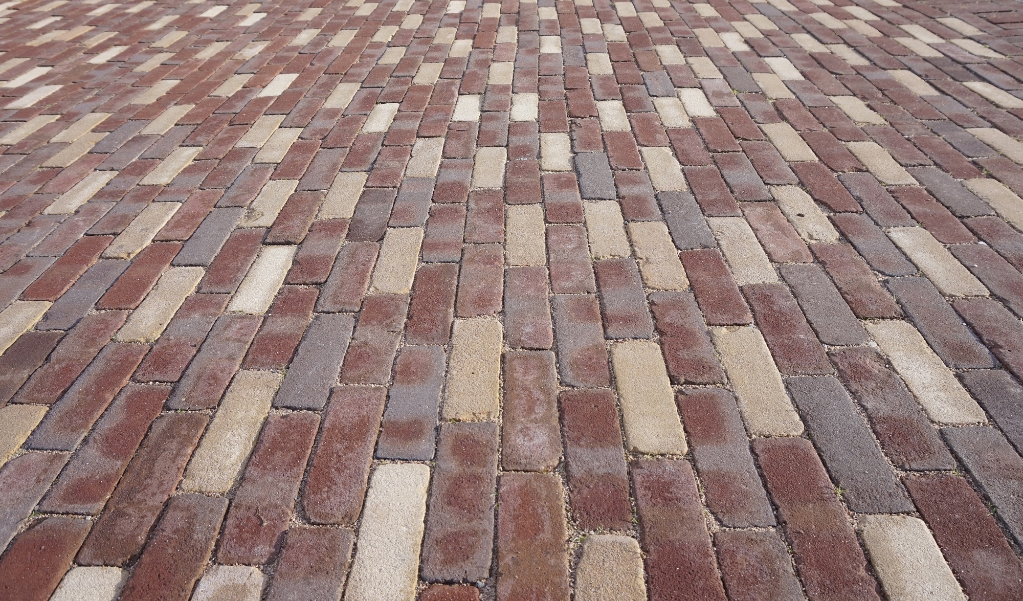 Westermarckinpuiston Puistobulevardi, maatiilet